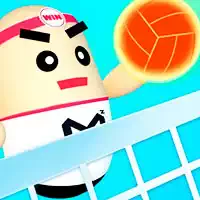 3d_amazing_volleyball เกม