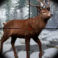 big_game_hunting Игры