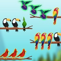 bird_sort_challenges بازی ها