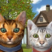 cat_simulator_online Игры