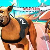 crazy_dog_racing_fever O'yinlar