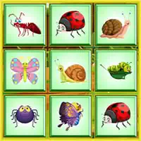 find_the_insect ألعاب