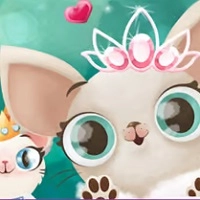 hollywood_fashion_pets ゲーム