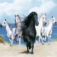 horses_puzzle Spil