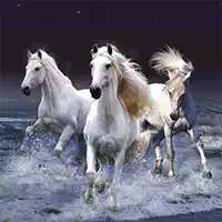 horses_slide ألعاب