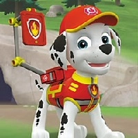 Paw Patrol Sortarea Jucăriilor