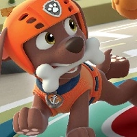 paw_patrol_zuma ហ្គេម