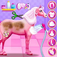 princess_horse_caring ហ្គេម