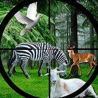 real_jungle_animals_hunting Giochi