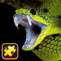 snake_puzzle_challenge Gry