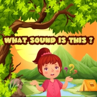 what_sound_is_this Spiele