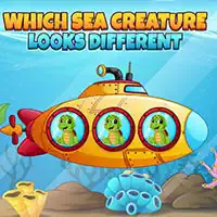 which_sea_creature_looks_different Խաղեր