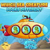 which_sea_creature_looks_different Jocuri