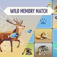 wild_memory ហ្គេម