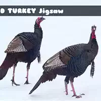 wild_turkey_jigsaw ಆಟಗಳು