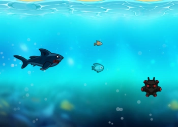 Angry Shark Miami pamje nga ekrani i lojës