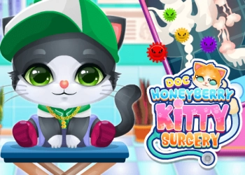 Chirurgia Di Doc Honeyberry Kitty screenshot del gioco
